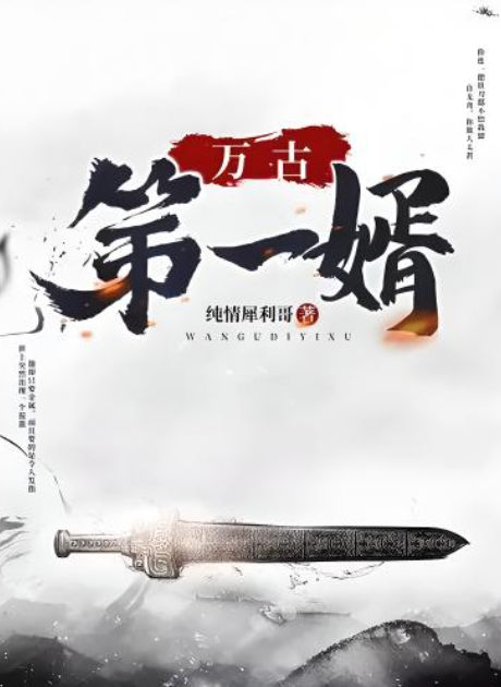 万古第一婿